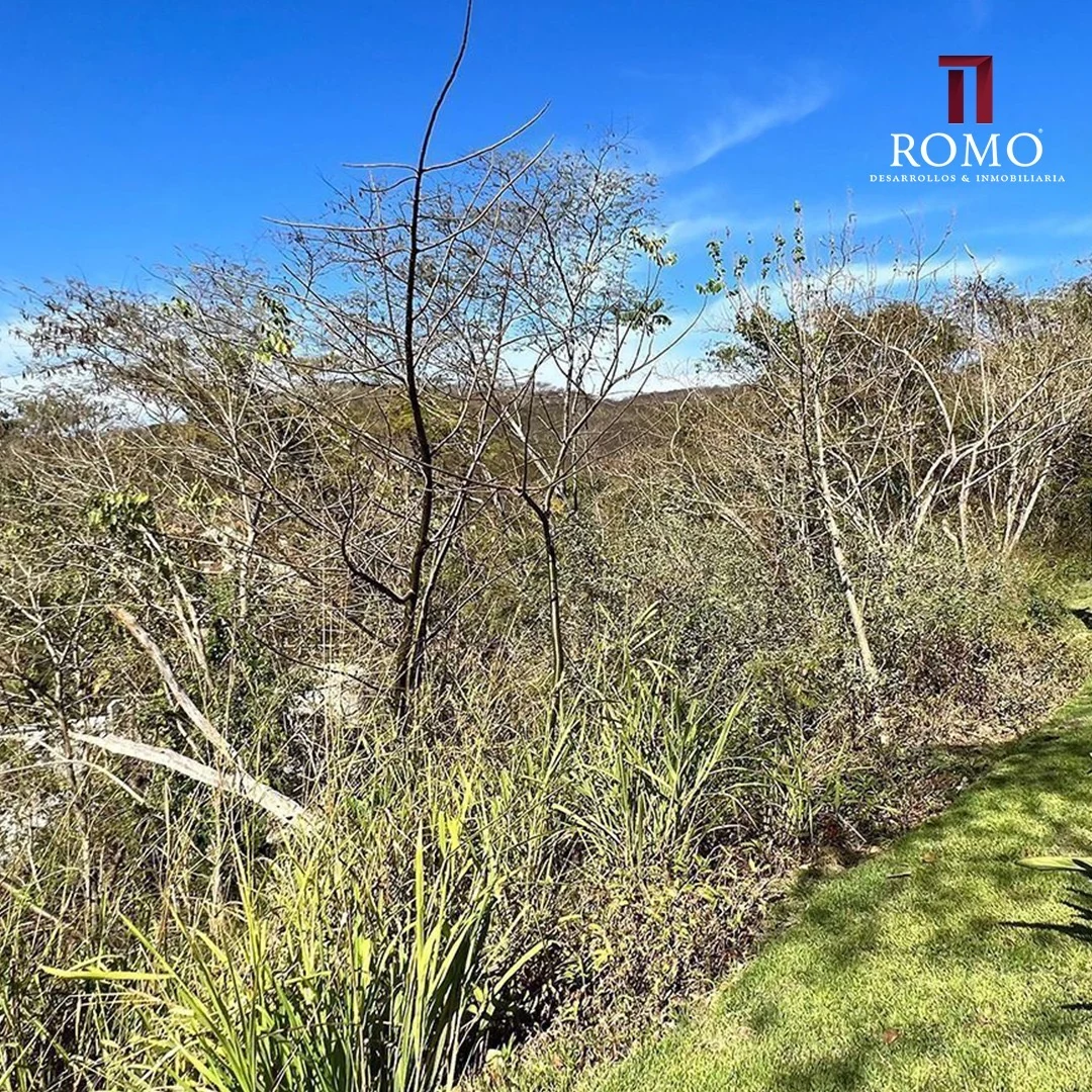 Vista del terreno y vegetación en Real del Mar